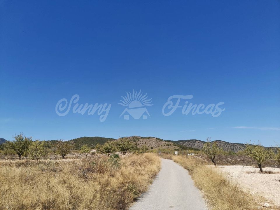Helårsgrund i Raspay, Murcia - foto 5